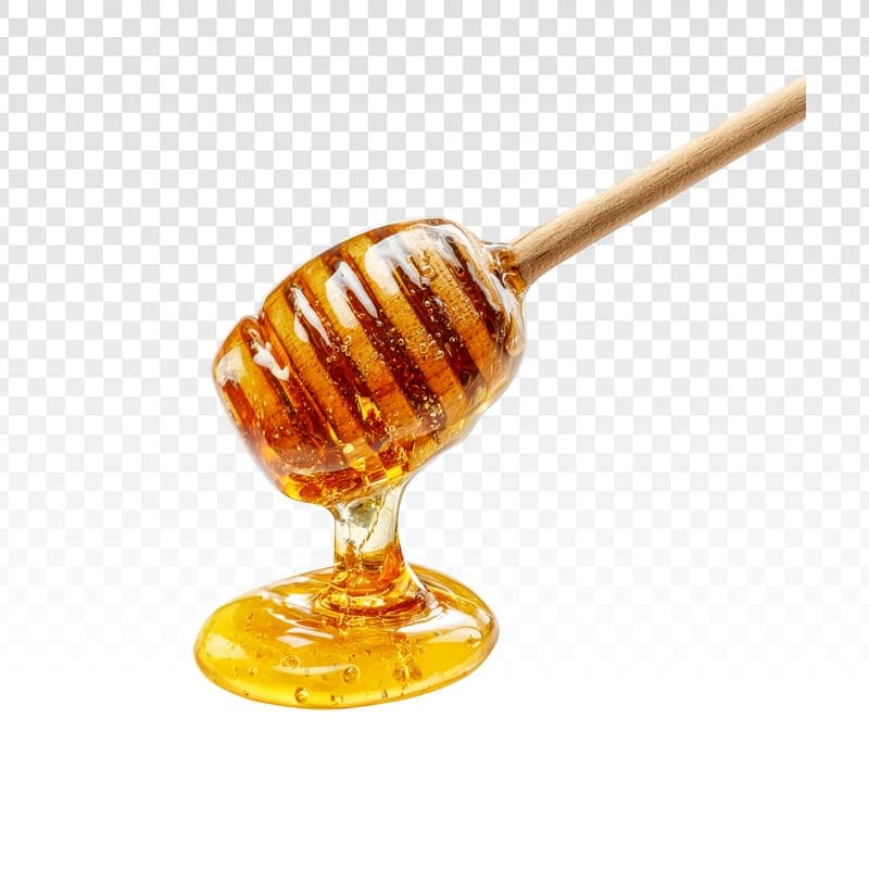 Raw Wild Forest Honey - product photo 1